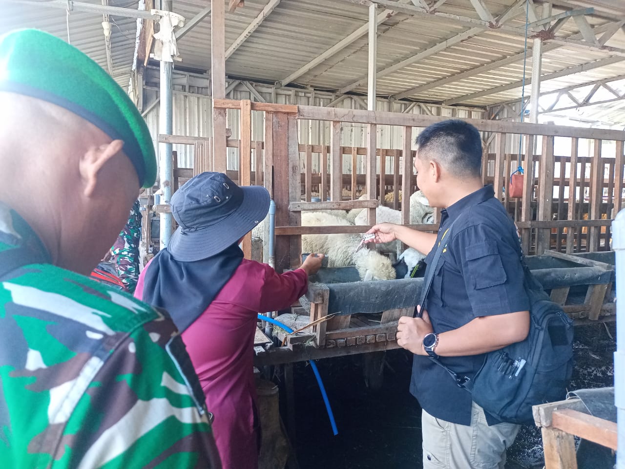 Foto Kandang Mitra Ternak